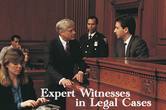 Iranian Lawyers as Expert Witnesses in Legal Cases